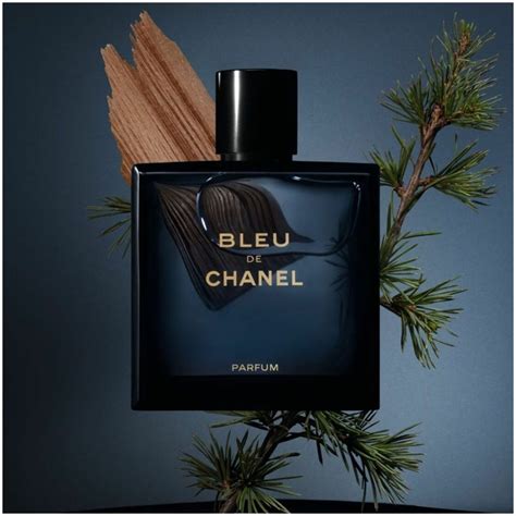 chanel 5 cologne for men|bleu de chanel 100ml price.